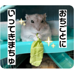 mochi_20251106192208