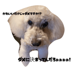 DANIEL_20251107004458