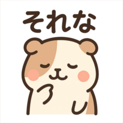 Everyday Guineapig
