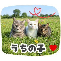 Everyday Life with My Kittens Sticker