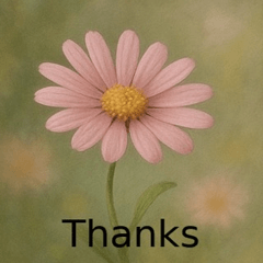 Gentle Flower Messages