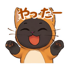 A cat who wants to be a Shiba Inu