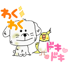 犬くん鳥くん！