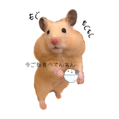 ohagi_20251106224410