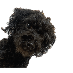 Candy_20251106212341