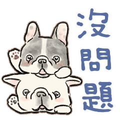 【中文版】搬家啦！一隻有趣的法國鬥牛犬