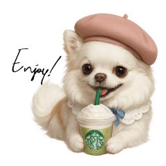 Beloved Pantan, the Long-Coat Chihuahua