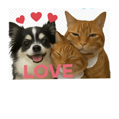 maorin_20251106232807