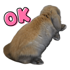 mochi_20251106220252