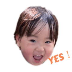 yamauchinta_2025110711163