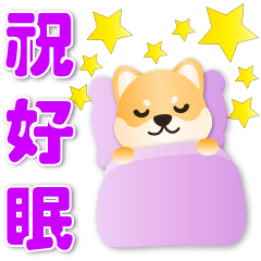 超實用*可愛柴犬