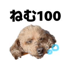 saekichi_20251106225052