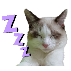 karaagekun_20251106224602