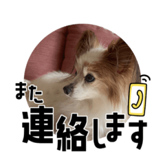 kiyoko_20251106230458