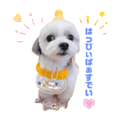 sakko_20251106230703