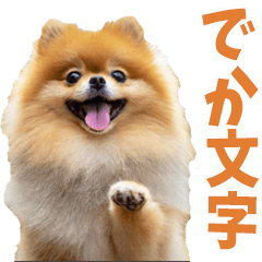 でか文字☆ポメラニアン
