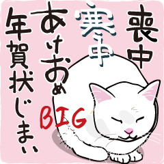 Mourning, cold weather, Happy New Year