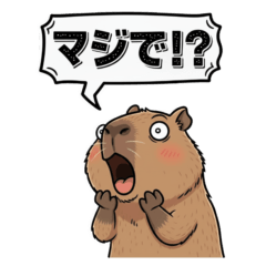 The laid-back daily life of a capybara