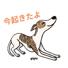 AKANE_20251107003115