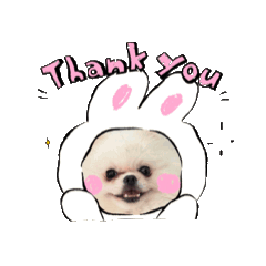 Sticker dog_20251107113539