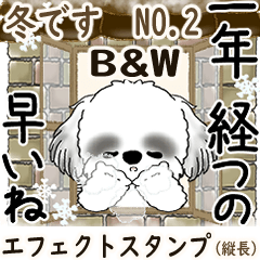 背景が動くB&Wのシーズー犬 2025 「冬」