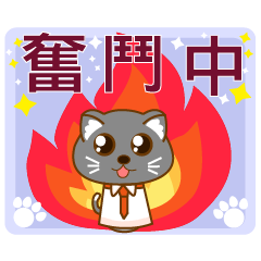 菇貓貓的一天 (上班篇)