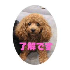yuka_20251106233225