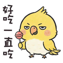 (°> °) 小胖鸚鵡好吃一直吃