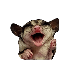 滋蹦姐妹四小鼯的搞笑表情