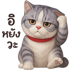 ❤️ทาโร่ แมวสลิดตัวตึง❤️(เว้าอีสาน)