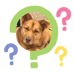 胡搞瞎搞阿豆仔