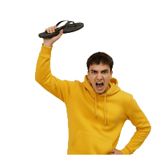 This is Toy. He is the good boy