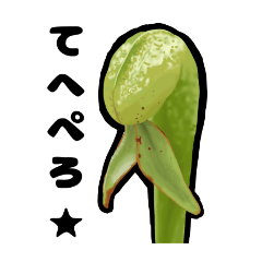 makura_20251107135200