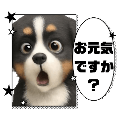 ayame_20251107224755