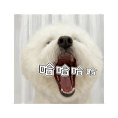 娜娜寶貝&做到快發瘋的貼圖