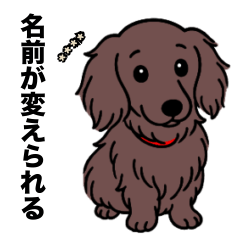 名前入りダックスロングチョコソリッド