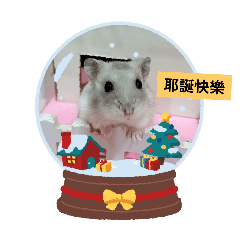 我的可愛鼠寶米菲生活貼圖