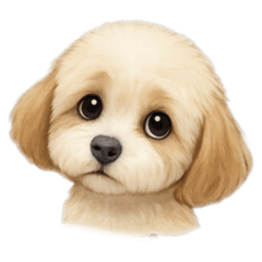 DAICHI_20251107211246