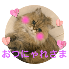 mumuchan_20251107230628