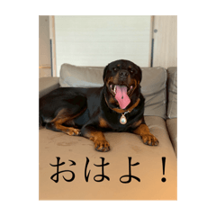 kaori_20251107152158