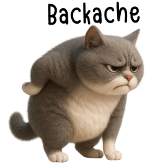 Chubby fat grey cat Tuatung (EN)