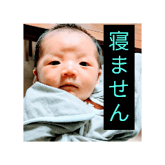 takeshi_20251107215003