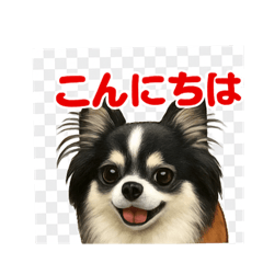 maorin_20251108005106