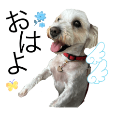 Minatsu_20251107232620