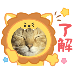 yumeki_20251107161138