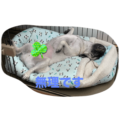 haru_20251107161709haruru