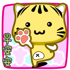 可愛條紋小貓貓!!!CAT117