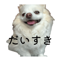 konyanko_20251107221538