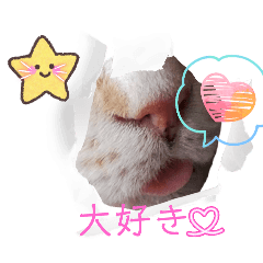 haruka_20251108072456