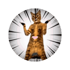 お酒とネコ好きな日常会話75